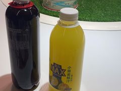 -老阿妈蒙古村·蒙古包·草原文化·歌舞表演(老君堂店)