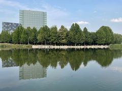 -大兴滨河森林公园