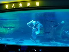 -西双版纳原始森林公园