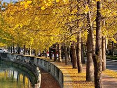 -成都市活水公园
