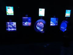 -成都浩海立方海洋公园