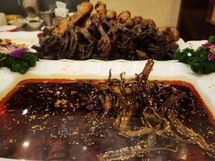 -川道拐耗儿鱼(旗舰店)