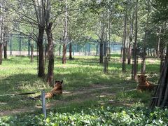 -秦皇岛野生动物园