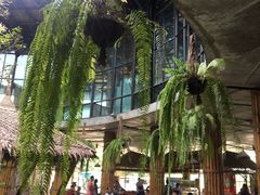 -The Ring Pavilion 魔幻森林