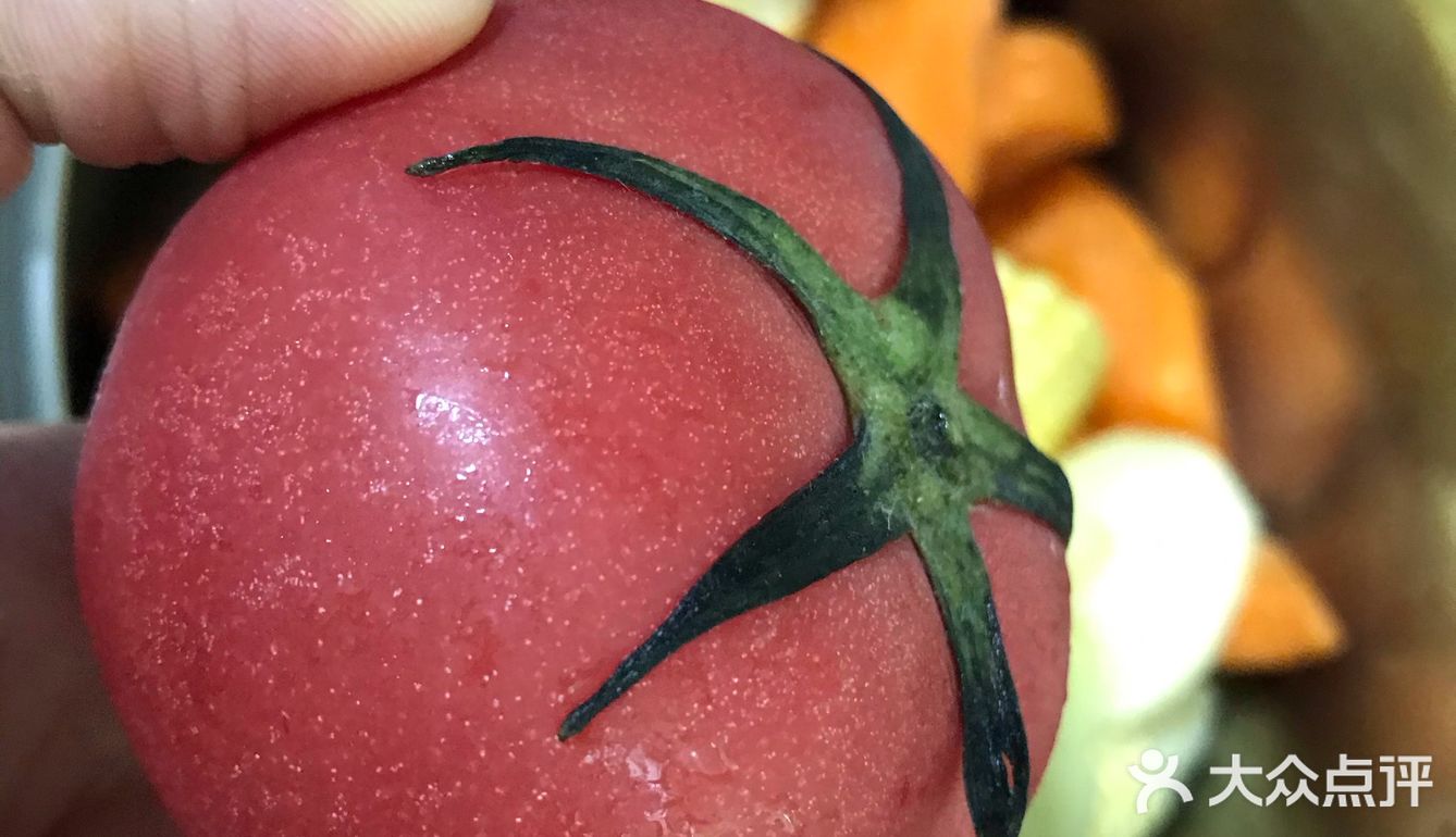 维生素之王   番茄玉米红萝卜土豆滚肉片汤