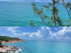 -广东惠东海龟国家级自然保护区