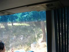 android_upload_pic-西安秦岭野生动物园