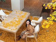 -自如ZSPACE四合院艺术餐厅