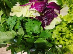 -亿百顺红焖羊排小馆(总店)
