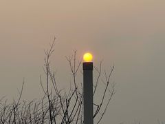 -白鹭湾湿地公园