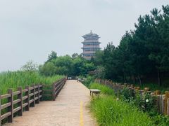 -永定河休闲森林公园