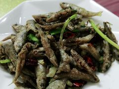 -品雅轩农家乐