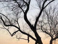 -大蜀山国家森林公园