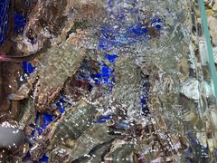 -高佳庄·舟山海鲜(海景旗舰店)