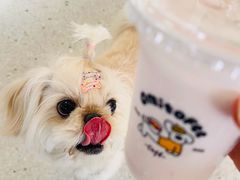 -omitofee咖啡(水泽店)