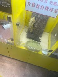 点击看大图 -神奇动物撸宠馆·羊驼·小浣熊·异宠(豫园店)