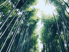 -岚山嵯峨野观光小火车