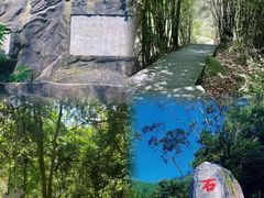 -东莞市大岭山森林公园