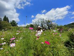 -名花谷生态庄园
