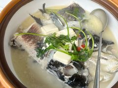 -宝荣鱼馆·临湖之宴(千岛湖店)