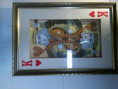 android_upload_pic-上海昆虫博物馆