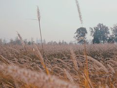 -汉长安城未央宫国家考古遗址公园