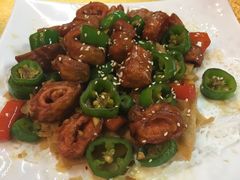 -鸽王世家(东华东路店)