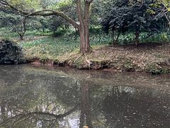 -杭州植物园