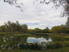 -东郊湿地公园