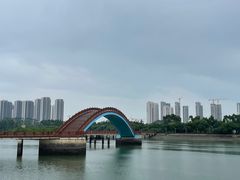 -五缘湾湿地公园