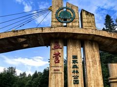 -五营红松林海景区