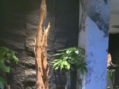 -观宴·品质赣菜(高新大道店)