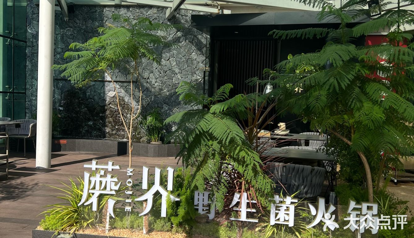 热气腾腾的一锅野生菌土鸡汤，新年与菌相见！
