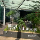 热气腾腾的一锅野生菌土鸡汤，新年与菌相见！