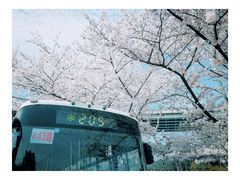 -上海南浦大桥长途旅游客运站