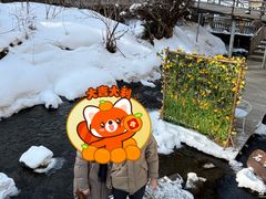 -峡谷浮石林景区