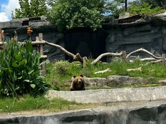 -武汉动物园