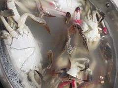 飞蟹-王潮活海鲜自助·蒸汽海鲜