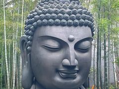 -杭州植物园