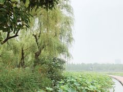 -暨阳湖生态园