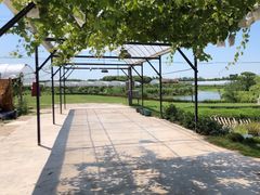 -美家乐农庄·露营·团建(大治路店)