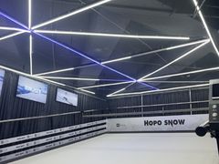 -Hopo Snow 城市滑雪空间(来福士广场购物中心店)