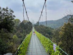 -石燕湖生态旅游景区