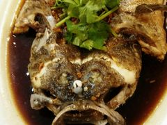 -大树下海鲜饭店