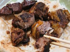 -艾力江和田馕坑烤肉店