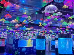 -洛阳龙门海洋馆