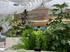 -大树餐厅(益田假日店)