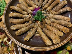 -峨眉烧烤(宝龙广场店)