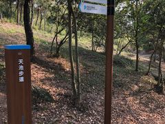 -南京市无想山景区