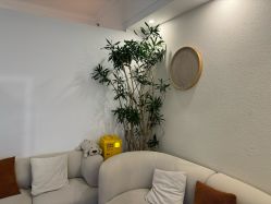 点击看大图 -唯奈斯肌肤管理中心